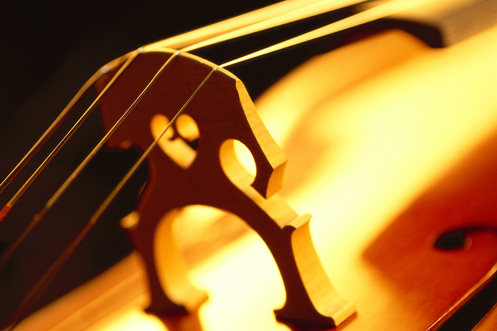 toned close-up of strings of a cello